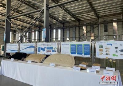 汽车零部件“以竹代塑”全产业链在广西柳州落成