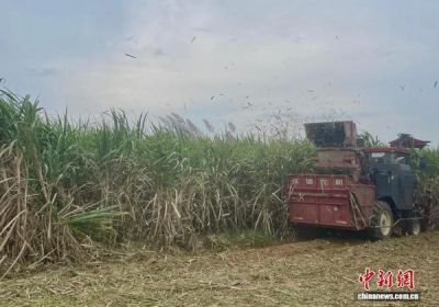 “闲置铁牛”变“网约车” 广西“滴滴农机”惠农增效